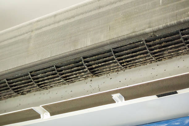 Best HVAC Duct Inspection Services  in Hawthorn Woods, IL